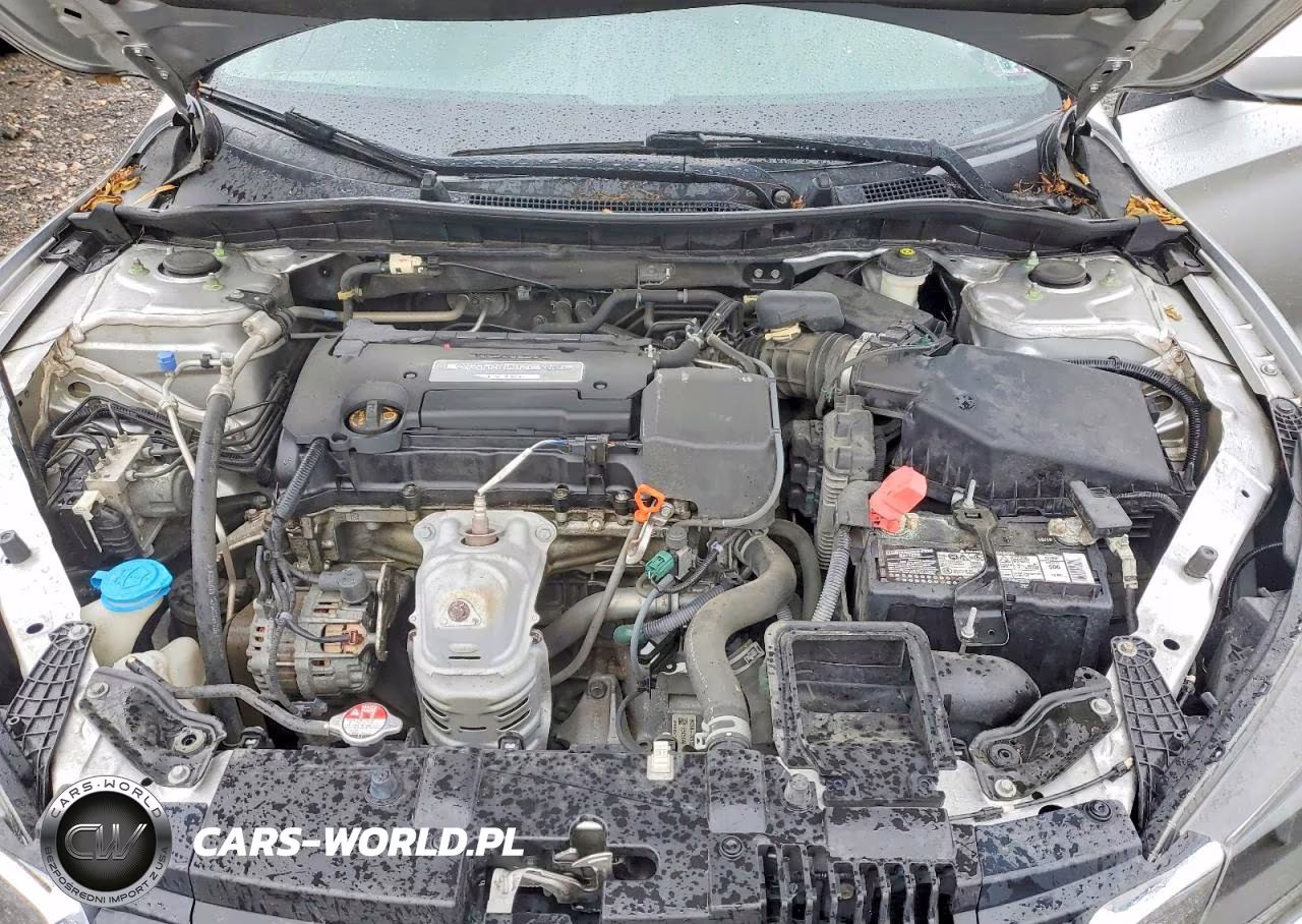 2014 Honda Accord Lx VIN:1HGCR2F36EA014181 - 11