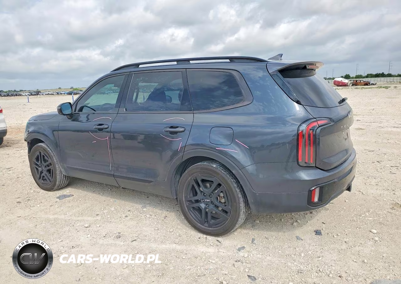 2024 Kia Telluride Sx-Prestige X-Line VIN:5XYP5DGC7RG481170 - 2