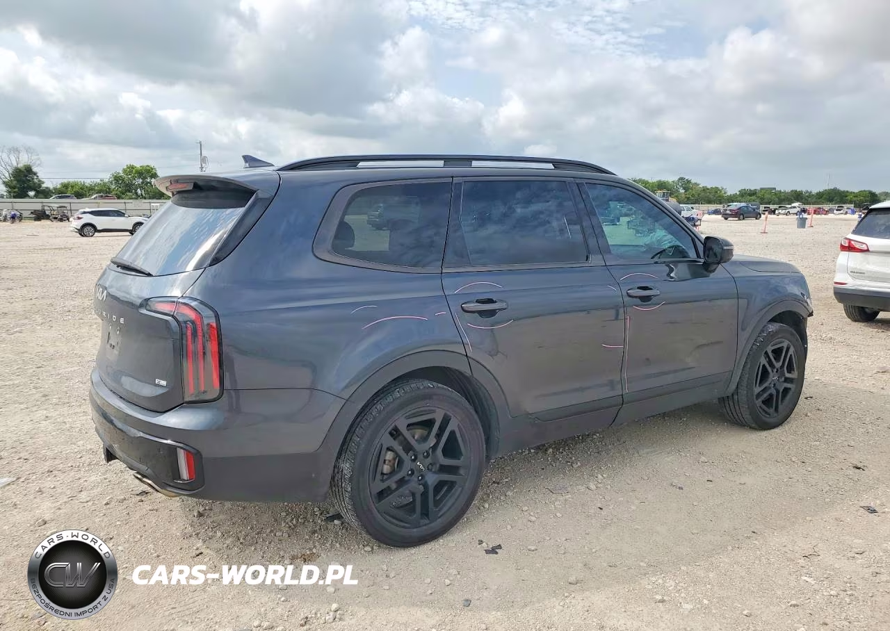 2024 Kia Telluride Sx-Prestige X-Line VIN:5XYP5DGC7RG481170 - 3