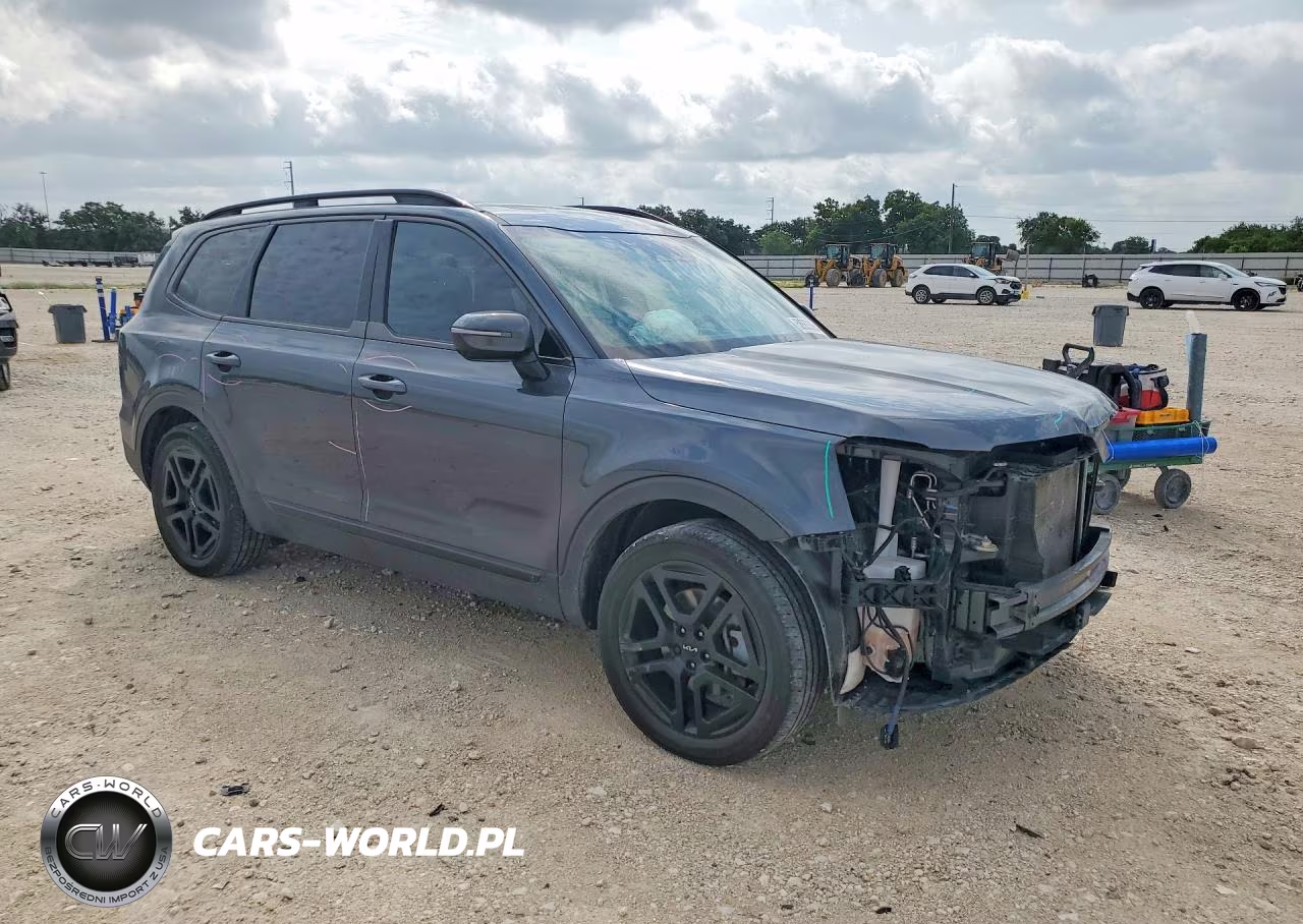 2024 Kia Telluride Sx-Prestige X-Line VIN:5XYP5DGC7RG481170 - 4