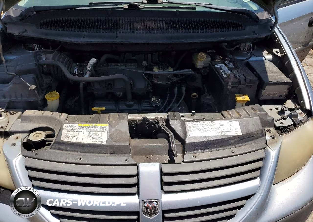 2005 Dodge Caravan Se VIN:1D4GP25R05B306398 - 11