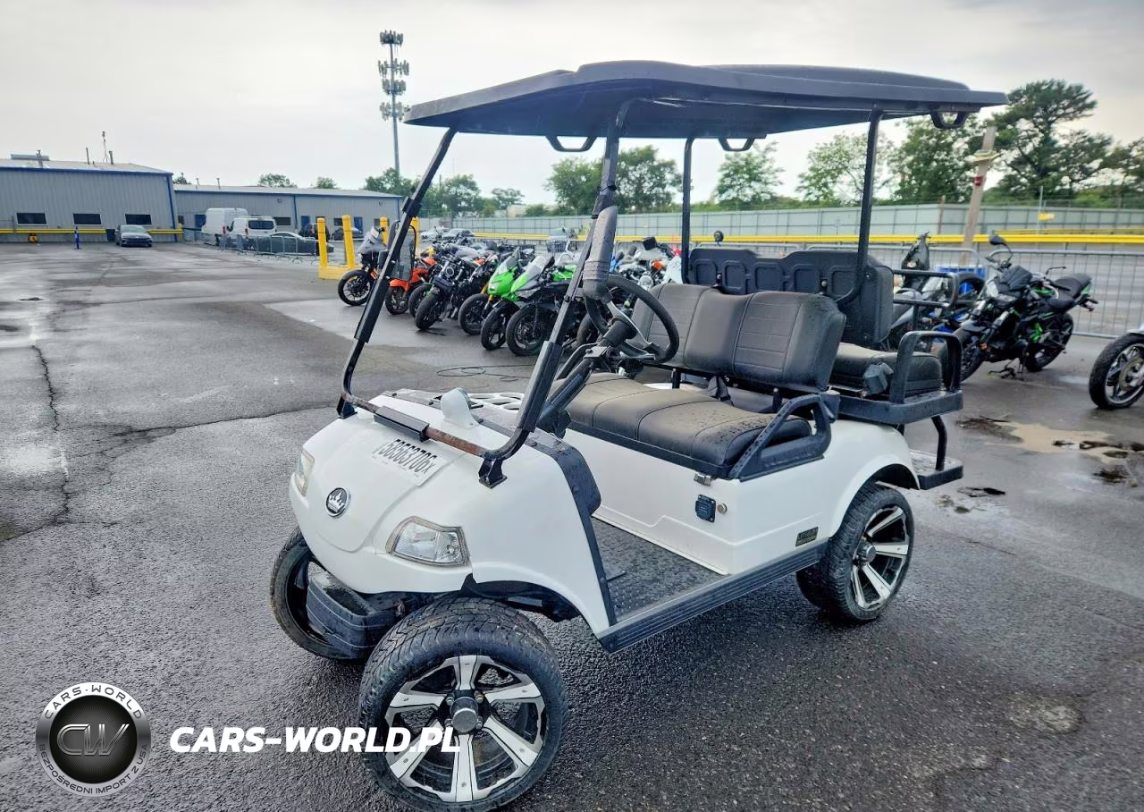 2023 GOLF GOLF CART VIN:202332197 - 2