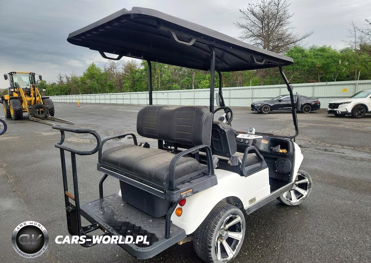 2023 GOLF GOLF CART VIN:202332197 - 4