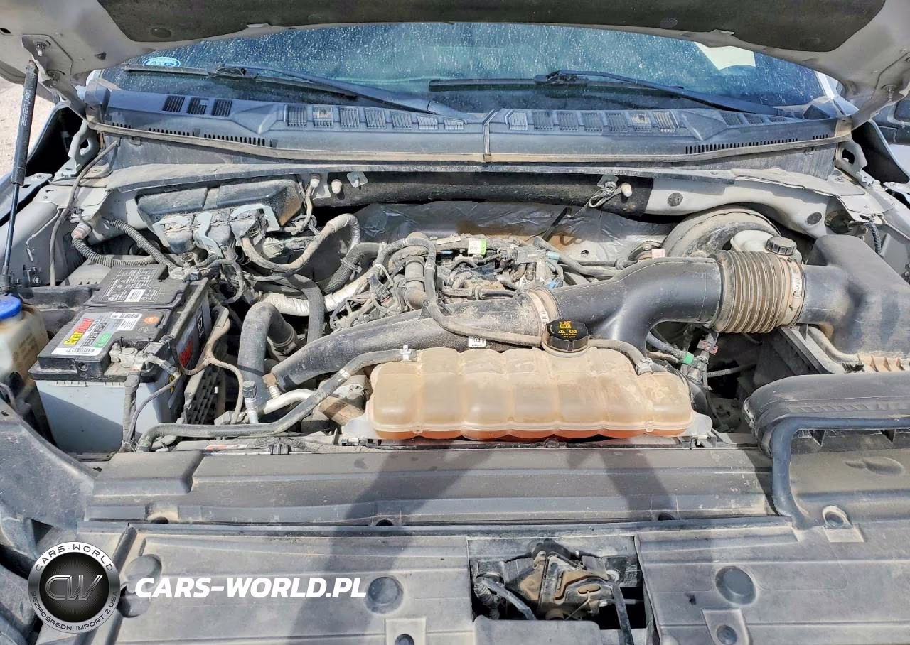 2019 Ford F150 Supercrew VIN:1FTEW1CP2KKC09458 - 11