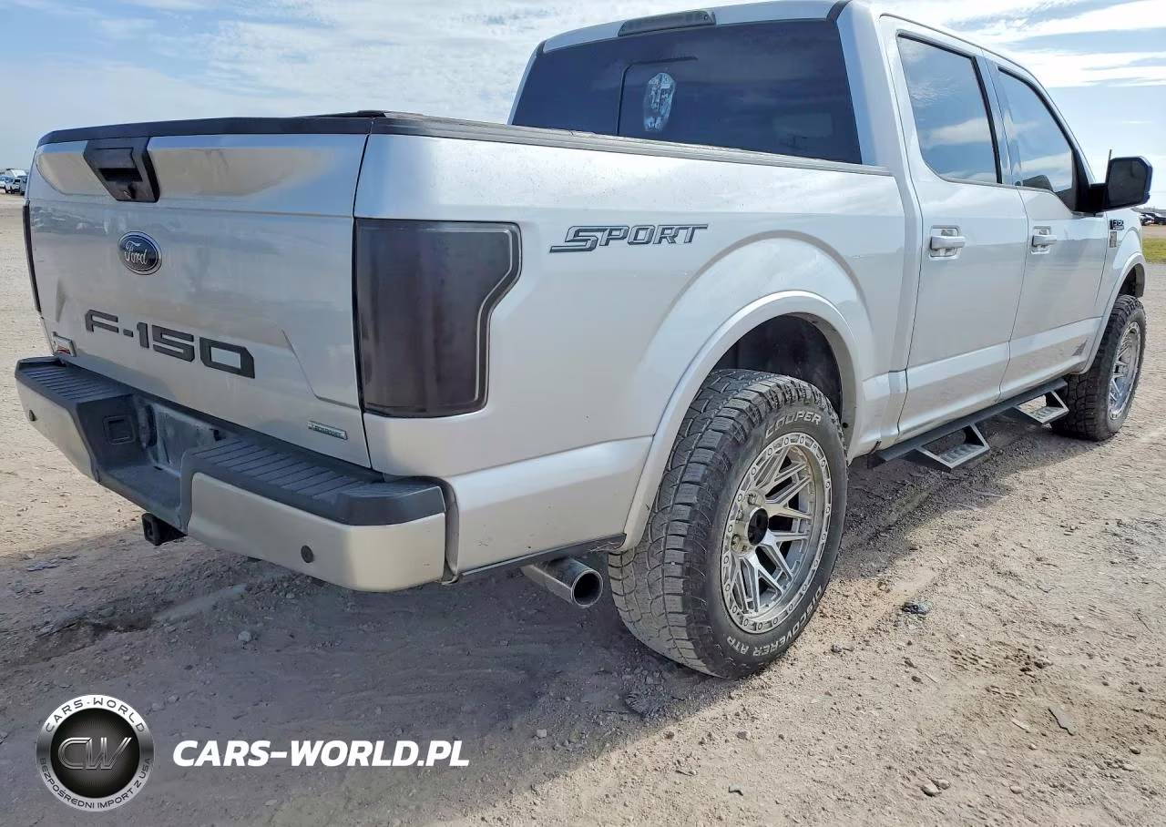 2019 Ford F150 Supercrew VIN:1FTEW1CP2KKC09458 - 3