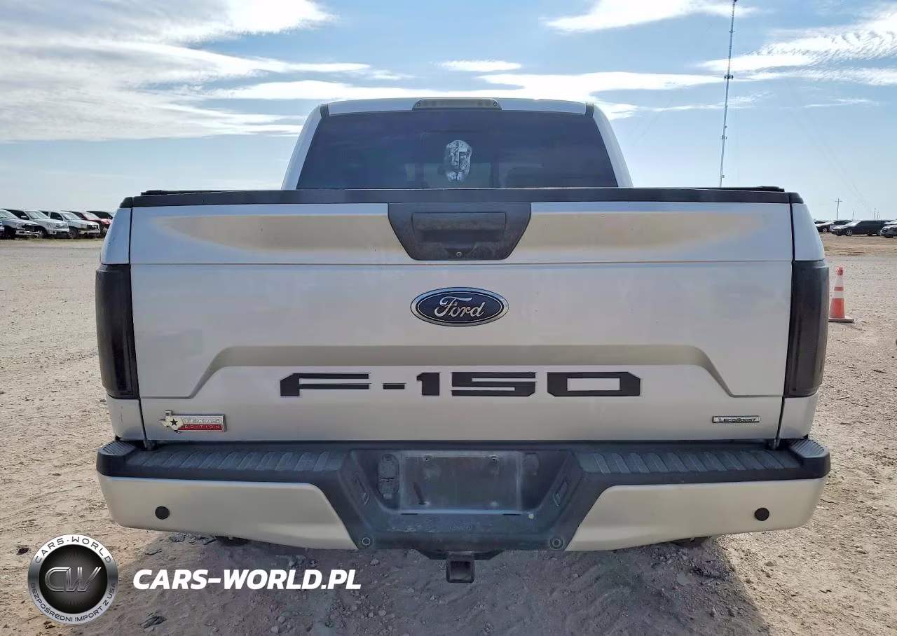 2019 Ford F150 Supercrew VIN:1FTEW1CP2KKC09458 - 6