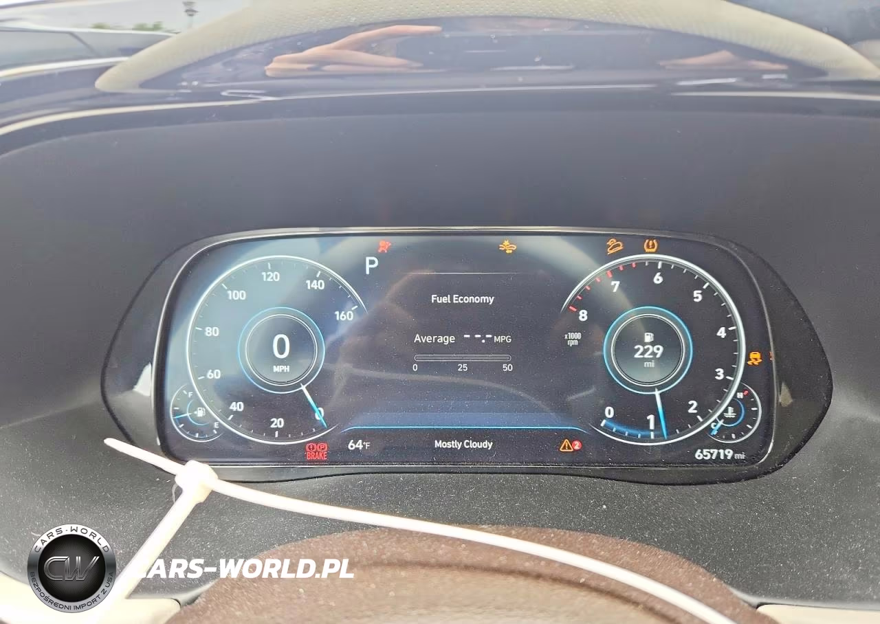 2020 Hyundai Palisade Limited VIN:KM8R5DHE4LU086454 - 9