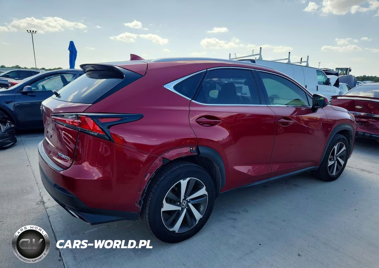 2018 Lexus Nx 300 Base VIN:JTJYARBZ5J2111405 - 3