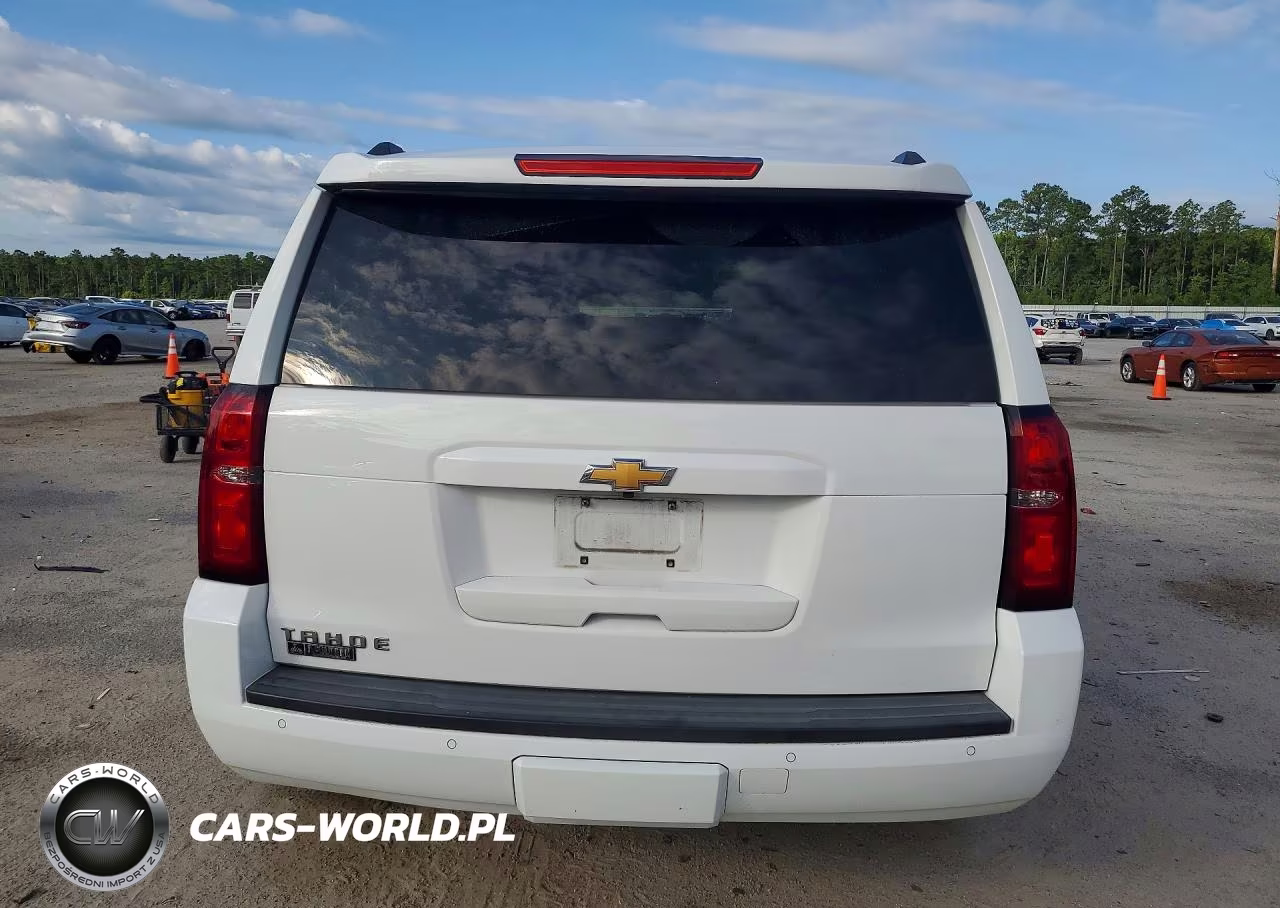 2019 Chevrolet Tahoe K1500 Lt VIN:1GNSKBKC1KR113709 - 6