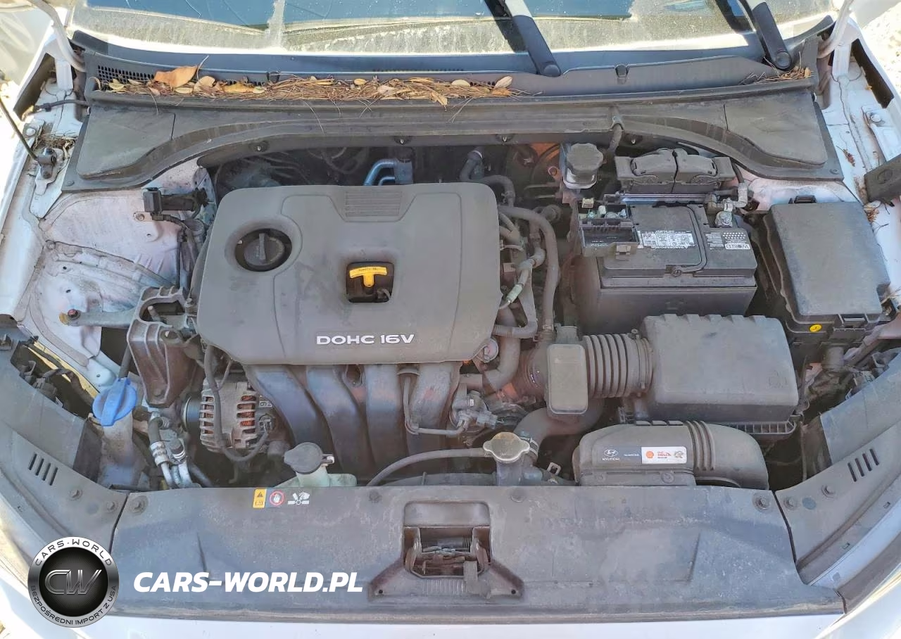 2019 Hyundai Veloster 2.0L VIN:KMHTG6AF8KU005808 - 11