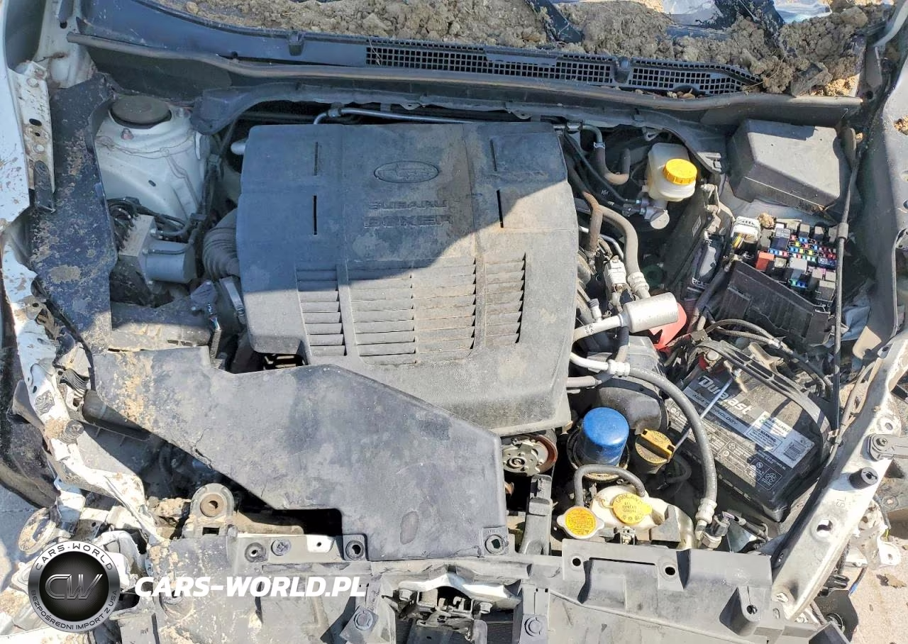 2019 Subaru Forester Limited VIN:JF2SKAUC8KH465628 - 12