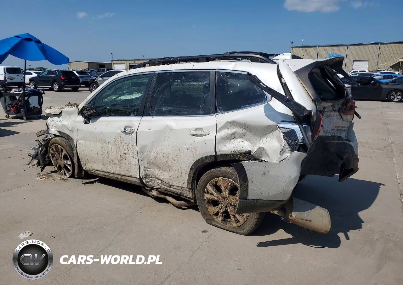 2019 Subaru Forester Limited VIN:JF2SKAUC8KH465628 - 2