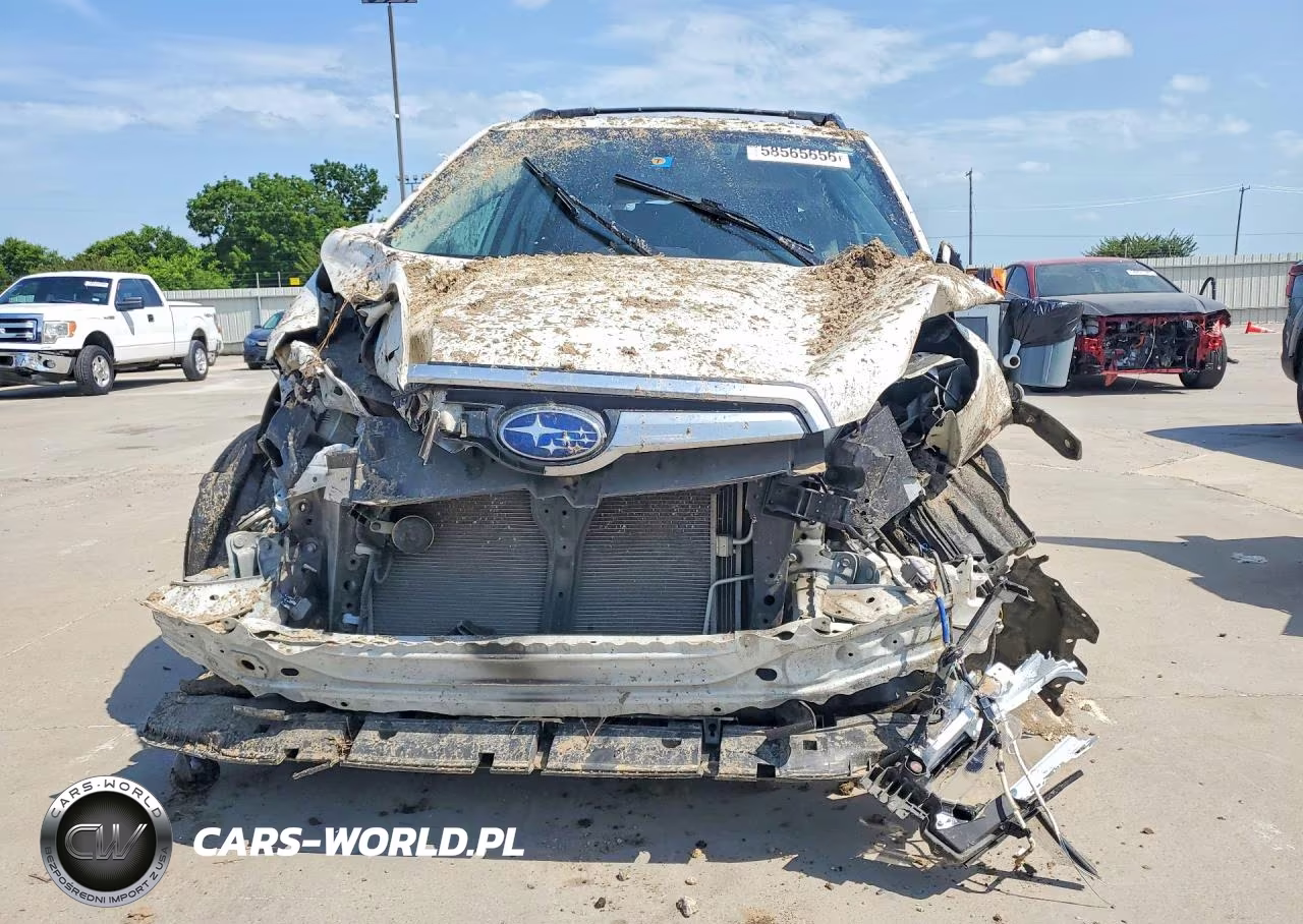 2019 Subaru Forester Limited VIN:JF2SKAUC8KH465628 - 5