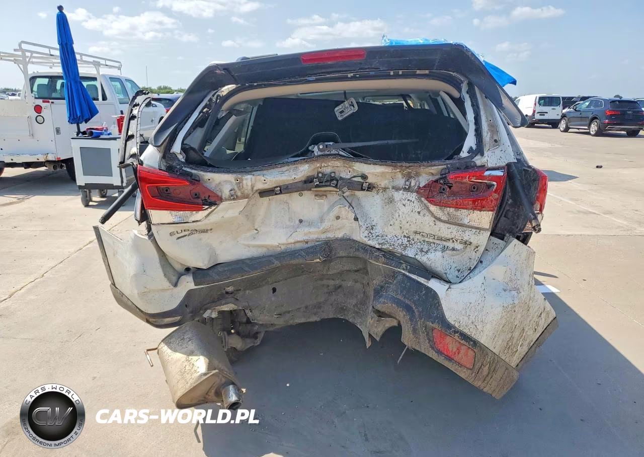 2019 Subaru Forester Limited VIN:JF2SKAUC8KH465628 - 6