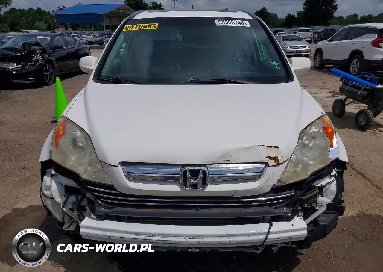 2009 Honda Cr-V Exl VIN:JHLRE38799C014778 - 5