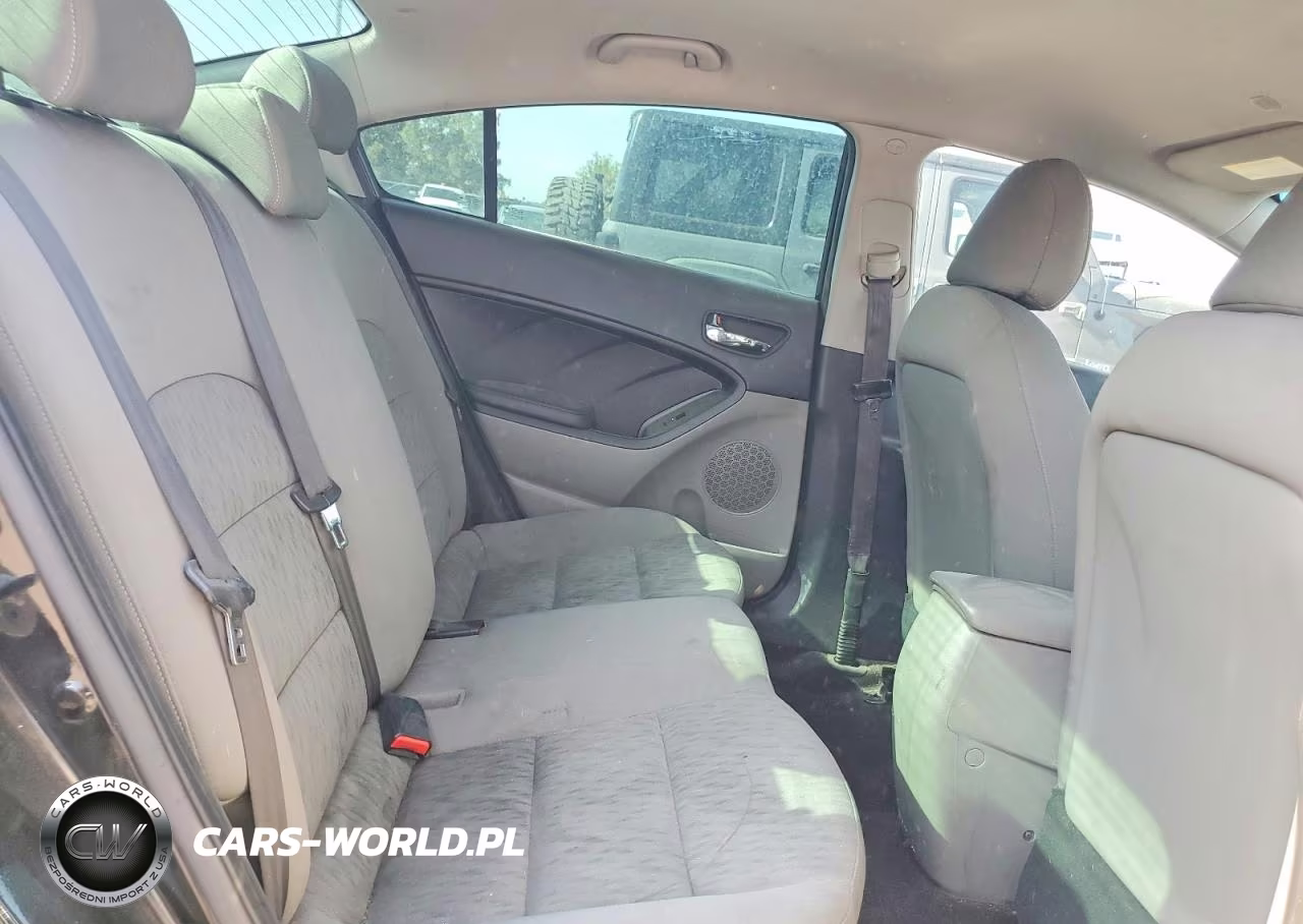 2014 Kia Forte Lx VIN:KNAFK4A60E5179565 - 10