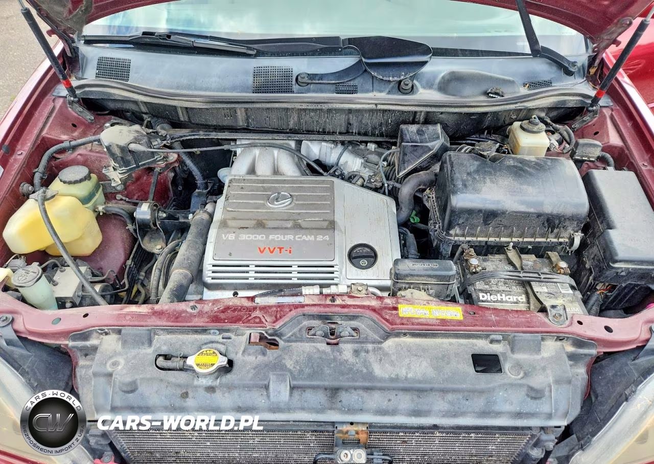 1999 Lexus Rx 300 VIN:JT6GF10U9X0043811 - 11