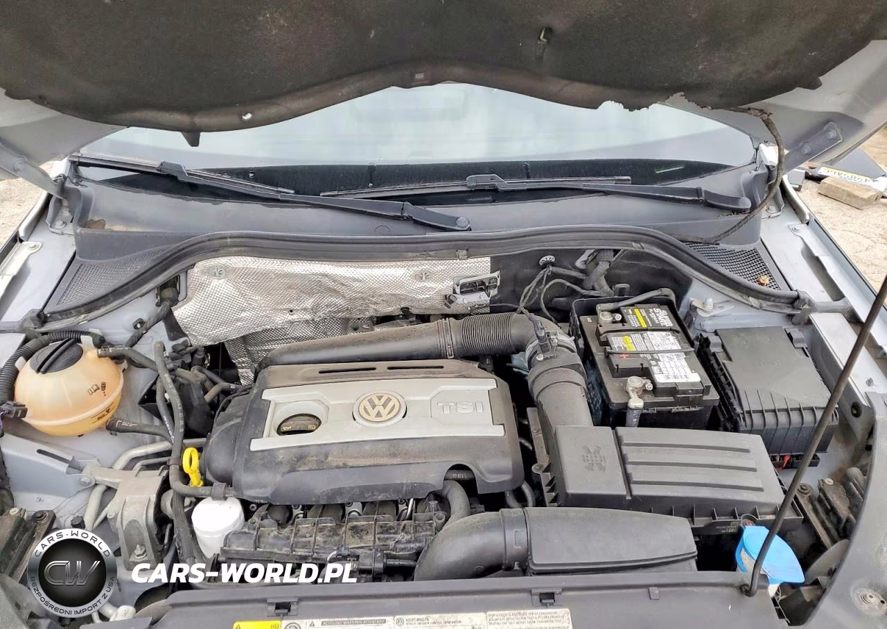 2014 Volkswagen Tiguan S VIN:WVGBV3AX6EW543750 - 11