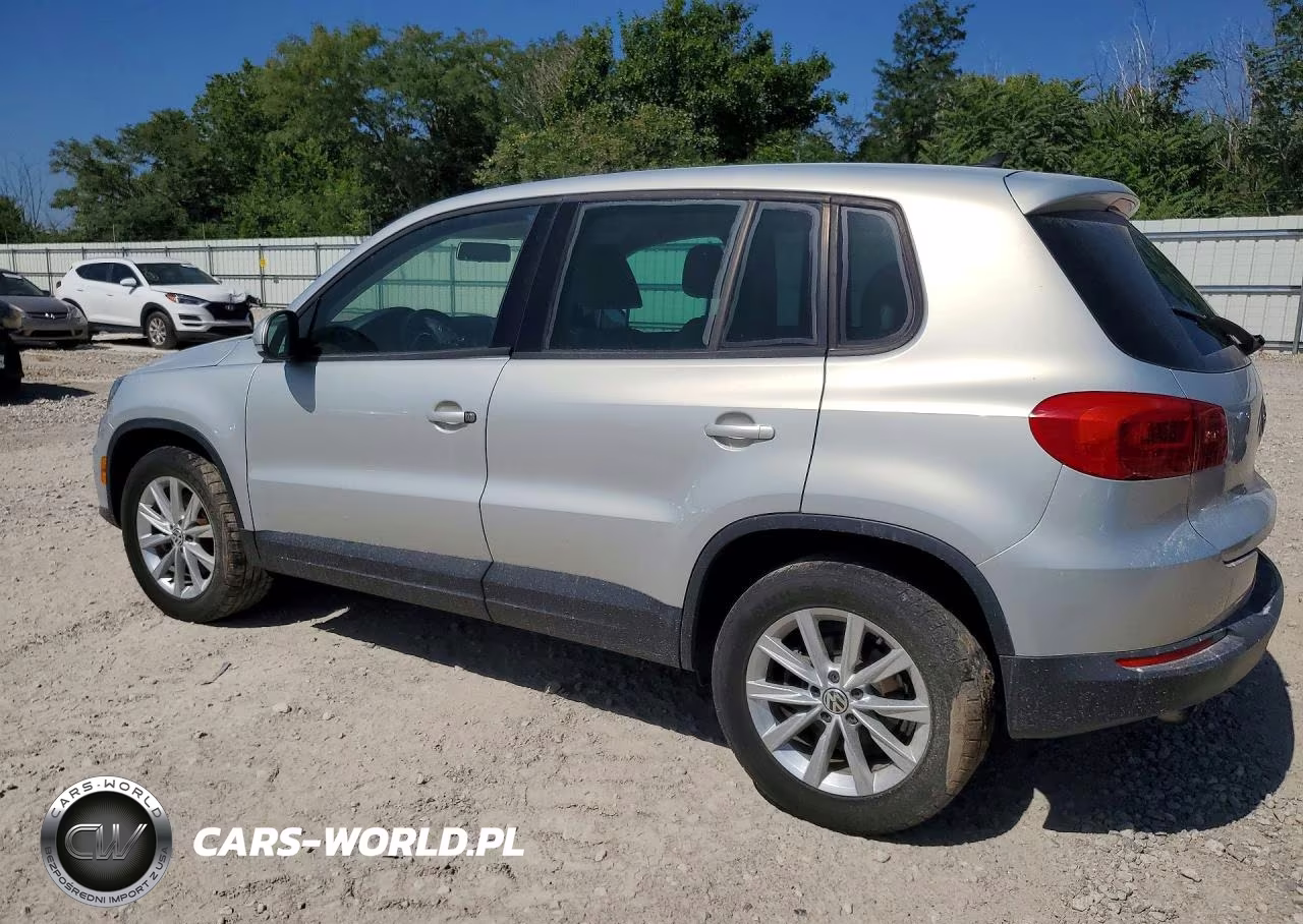 2014 Volkswagen Tiguan S VIN:WVGBV3AX6EW543750 - 2