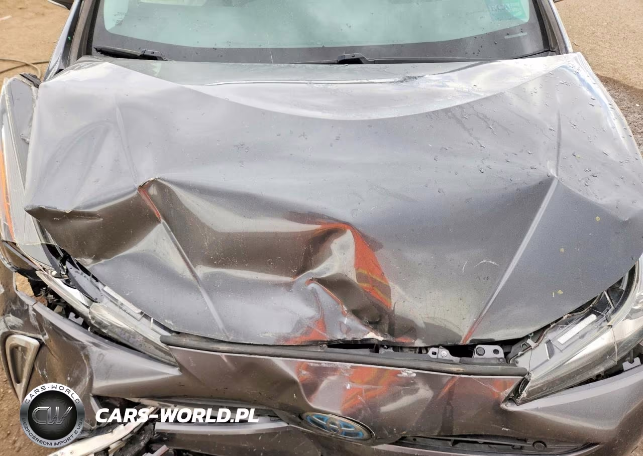 2019 Toyota Prius Le Awd-E VIN:JTDL9RFU7K3007787 - 11