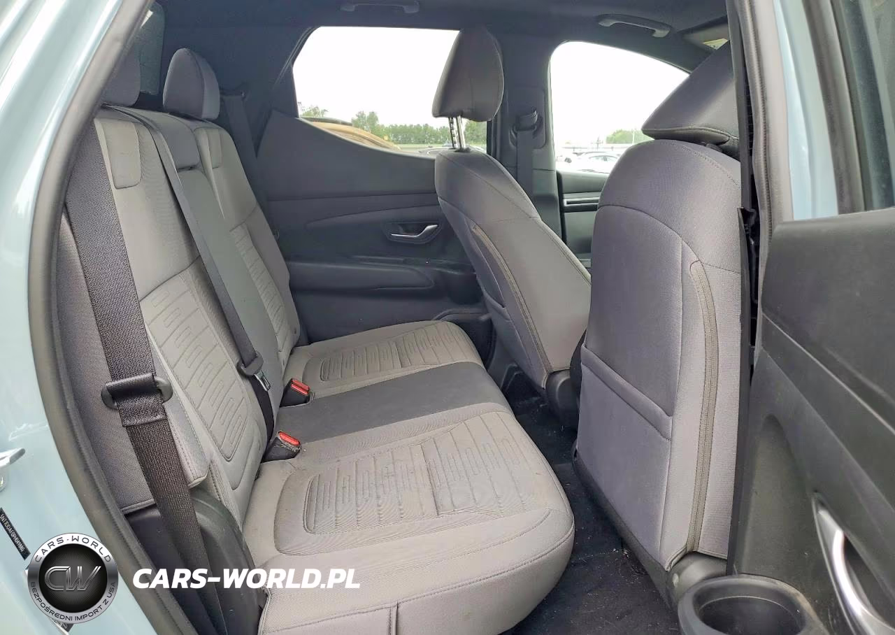 2023 Hyundai Santa Cruz Sel Premium VIN:5NTJDDAF0PH049880 - 10