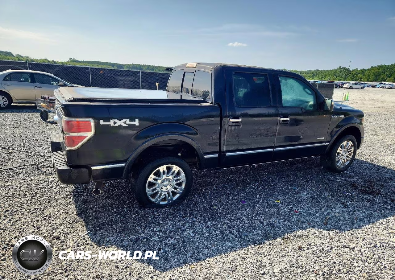 2013 Ford F150 Supercrew VIN:1FTFW1ETXDFC69224 - 3