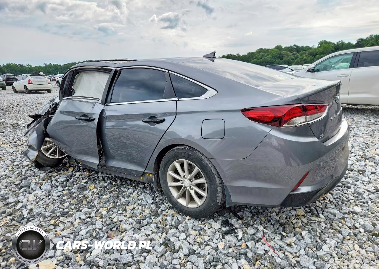 2019 Hyundai Sonata Se VIN:5NPE24AF1KH793096 - 2