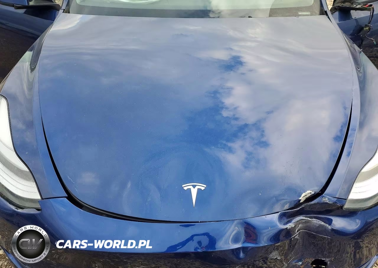 2021 Tesla Model Y VIN:5YJYGAEE0MF113141 - 12