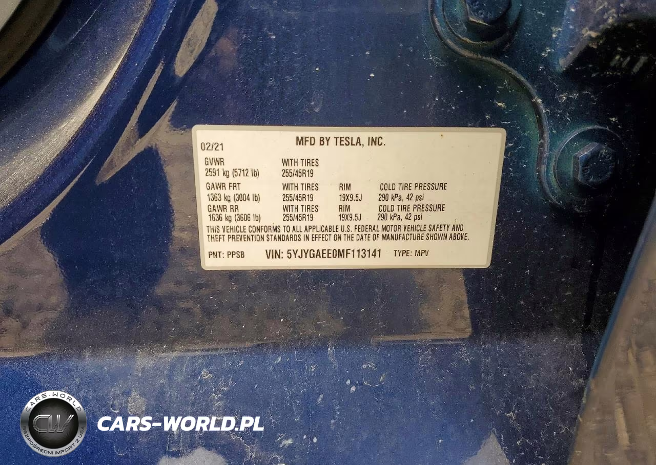 2021 Tesla Model Y VIN:5YJYGAEE0MF113141 - 13
