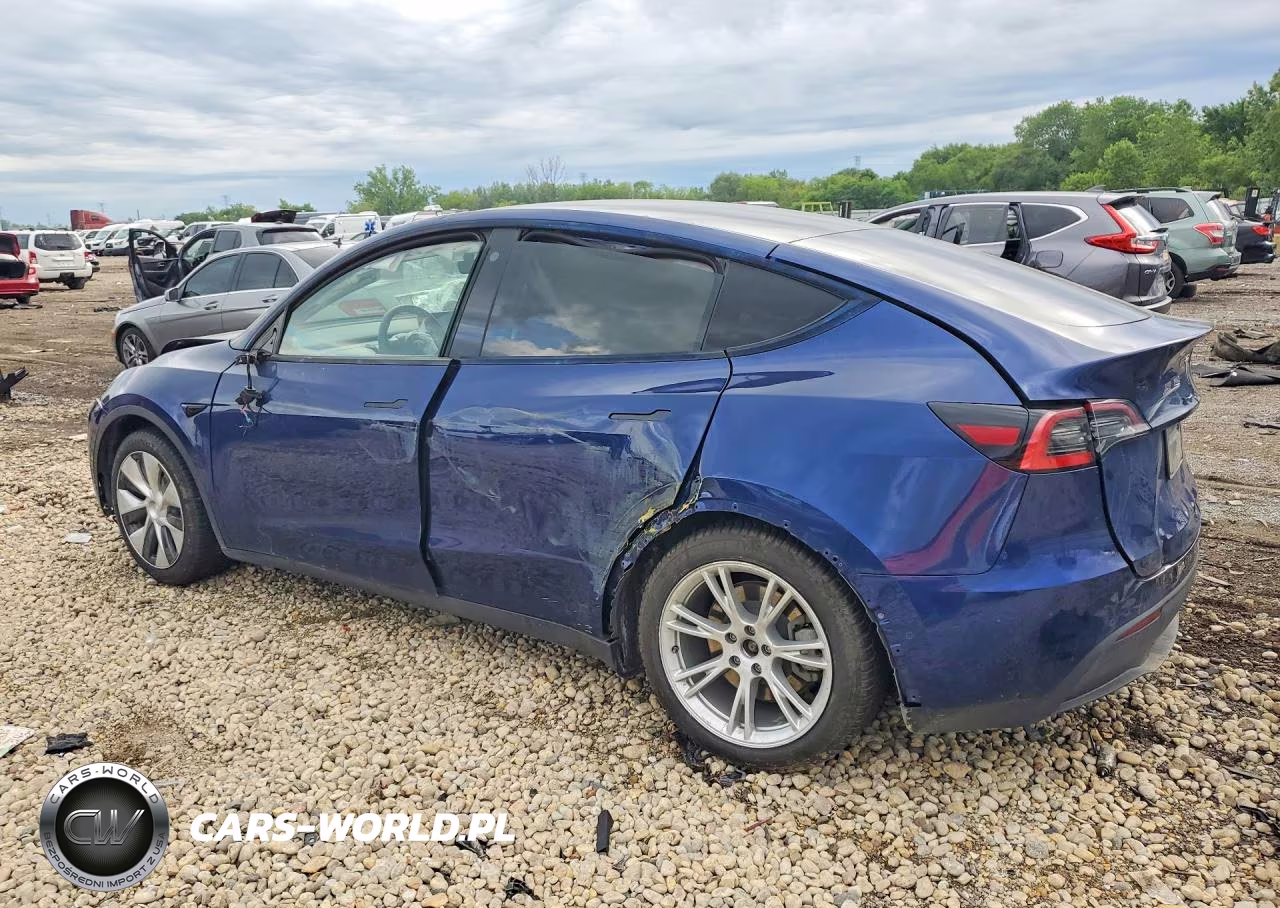 2021 Tesla Model Y VIN:5YJYGAEE0MF113141 - 2