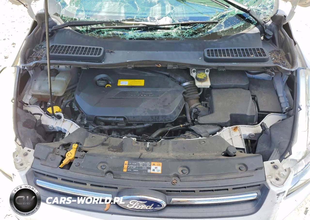 2016 Ford Escape Se VIN:1FMCU0GX6GUB52142 - 12