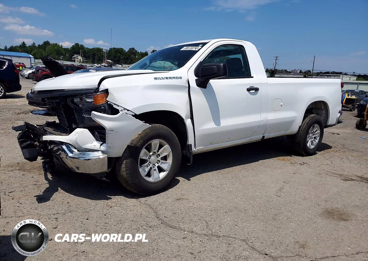 2022 Chevrolet Silverado C1500 VIN:3GCNAAED5NG666780 - 1