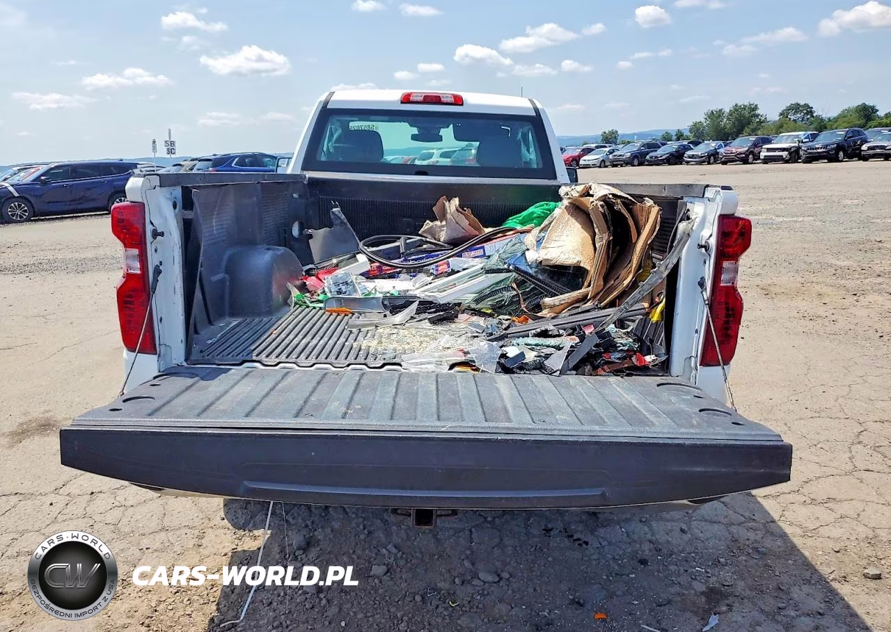 2022 Chevrolet Silverado C1500 VIN:3GCNAAED5NG666780 - 10