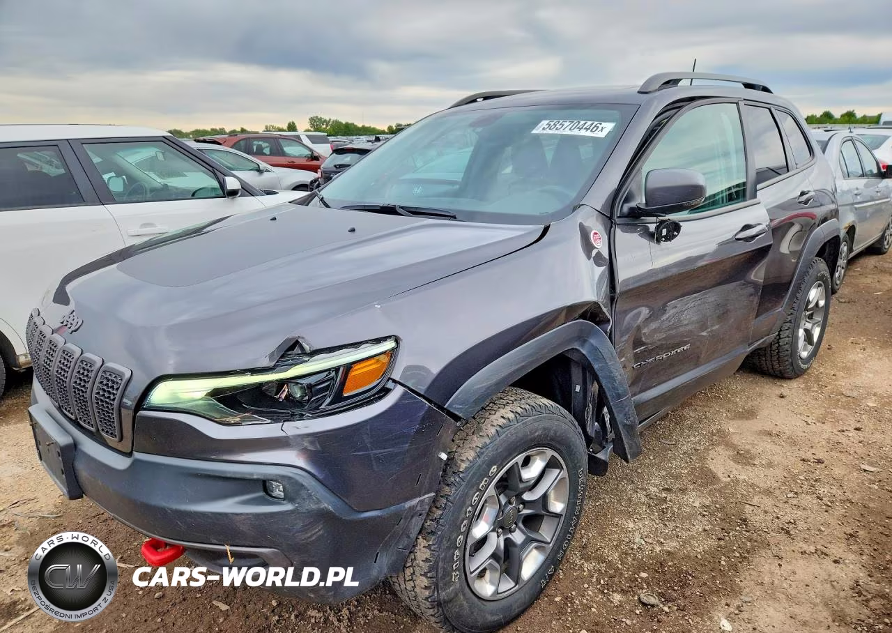 2019 Jeep Cherokee Trailhawk VIN:1C4PJMBX5KD268941 - 1