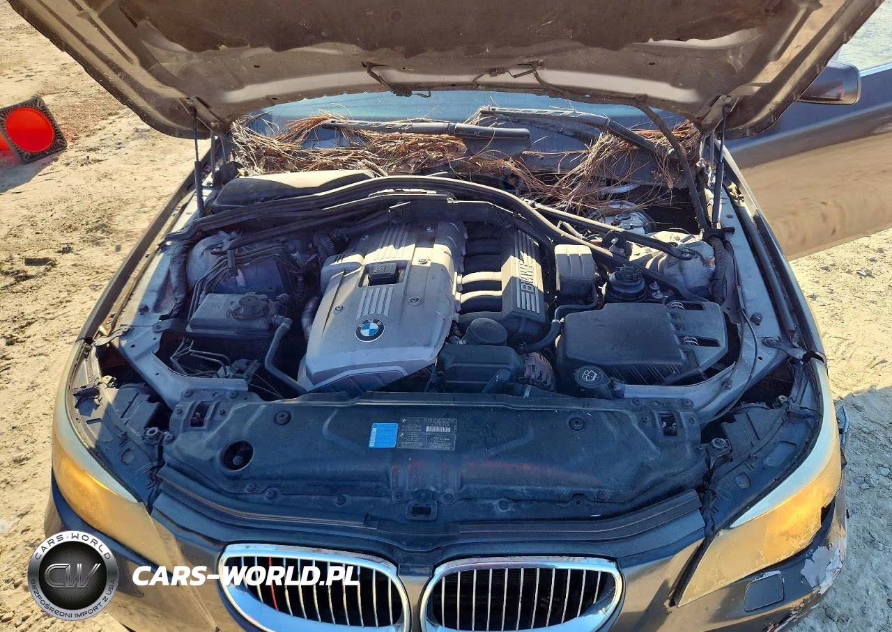 2006 BMW 525 Xi VIN:WBANF33516CS37128 - 11