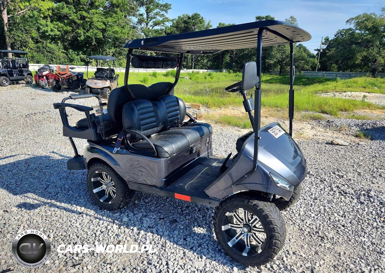 2019 Ezgo Golf Cart