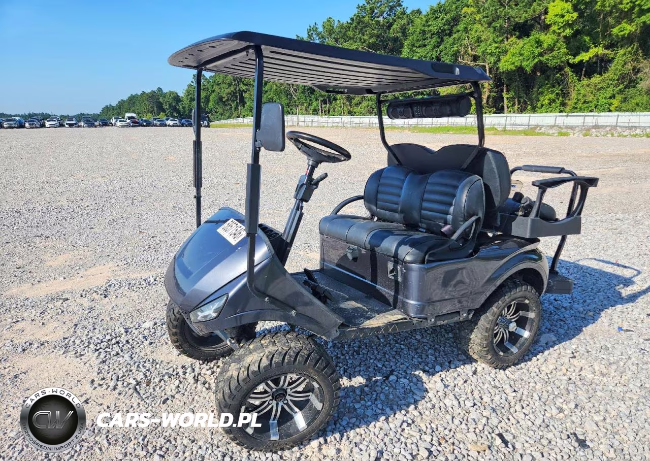2019 Ezgo Golf Cart VIN:3387648 - 2