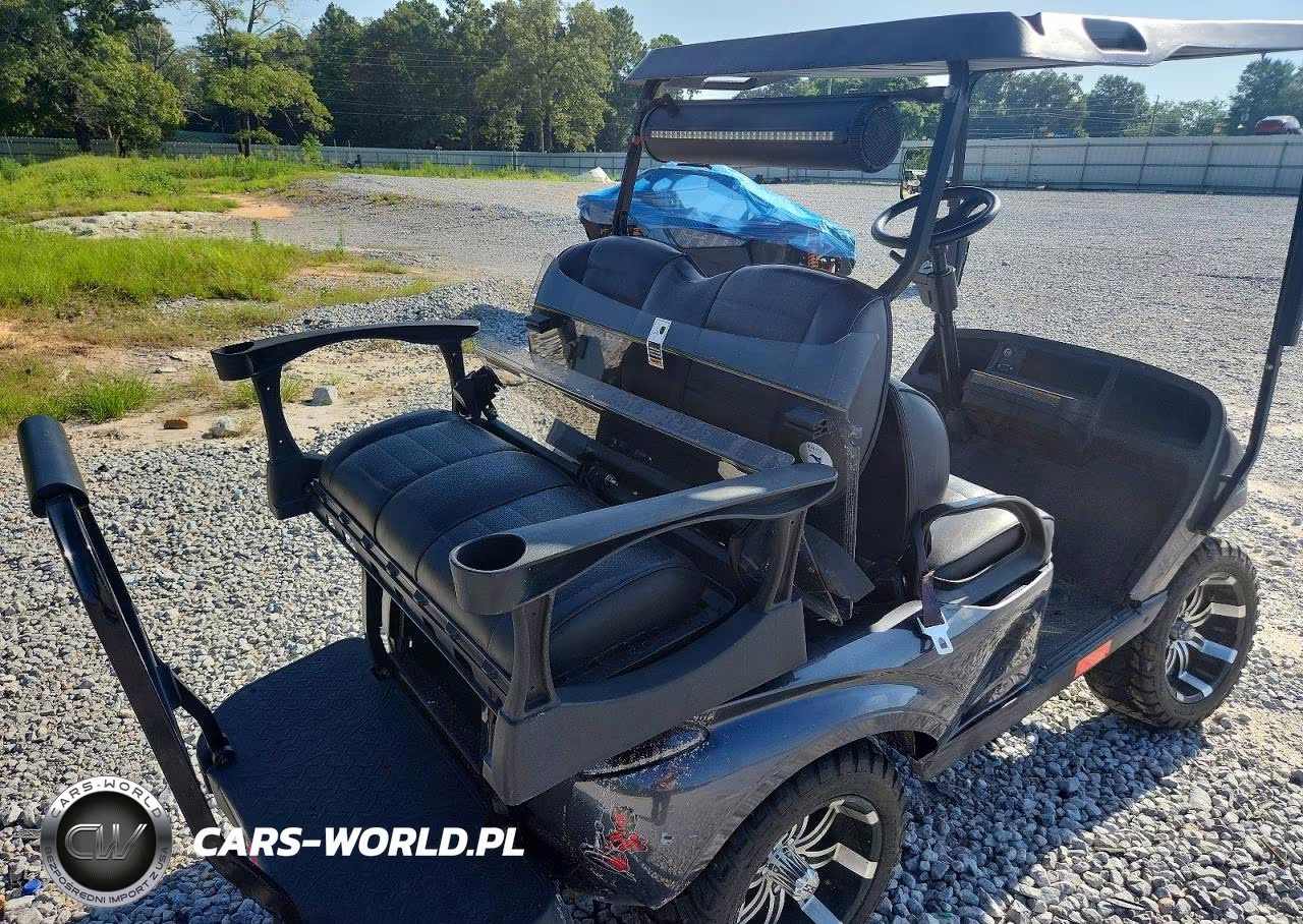2019 Ezgo Golf Cart VIN:3387648 - 9