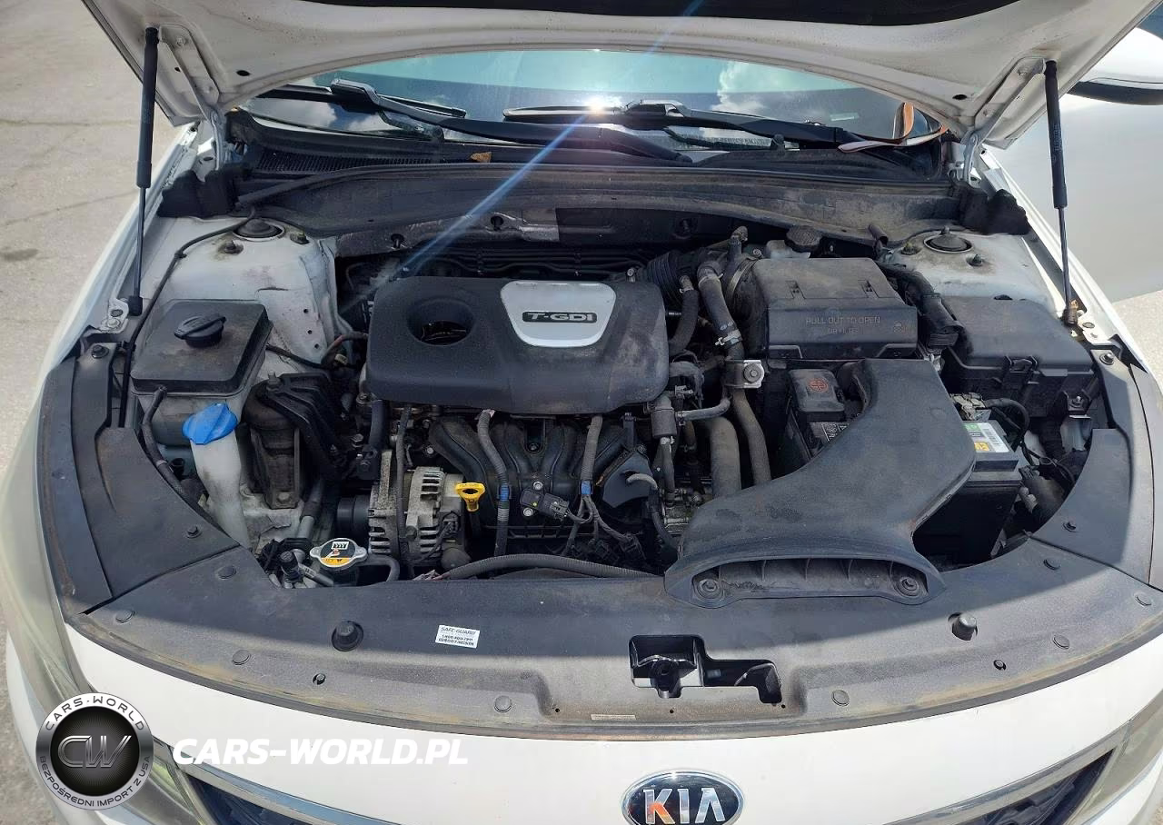 2019 Kia Optima Ex VIN:5XXGU4L19KG339629 - 11