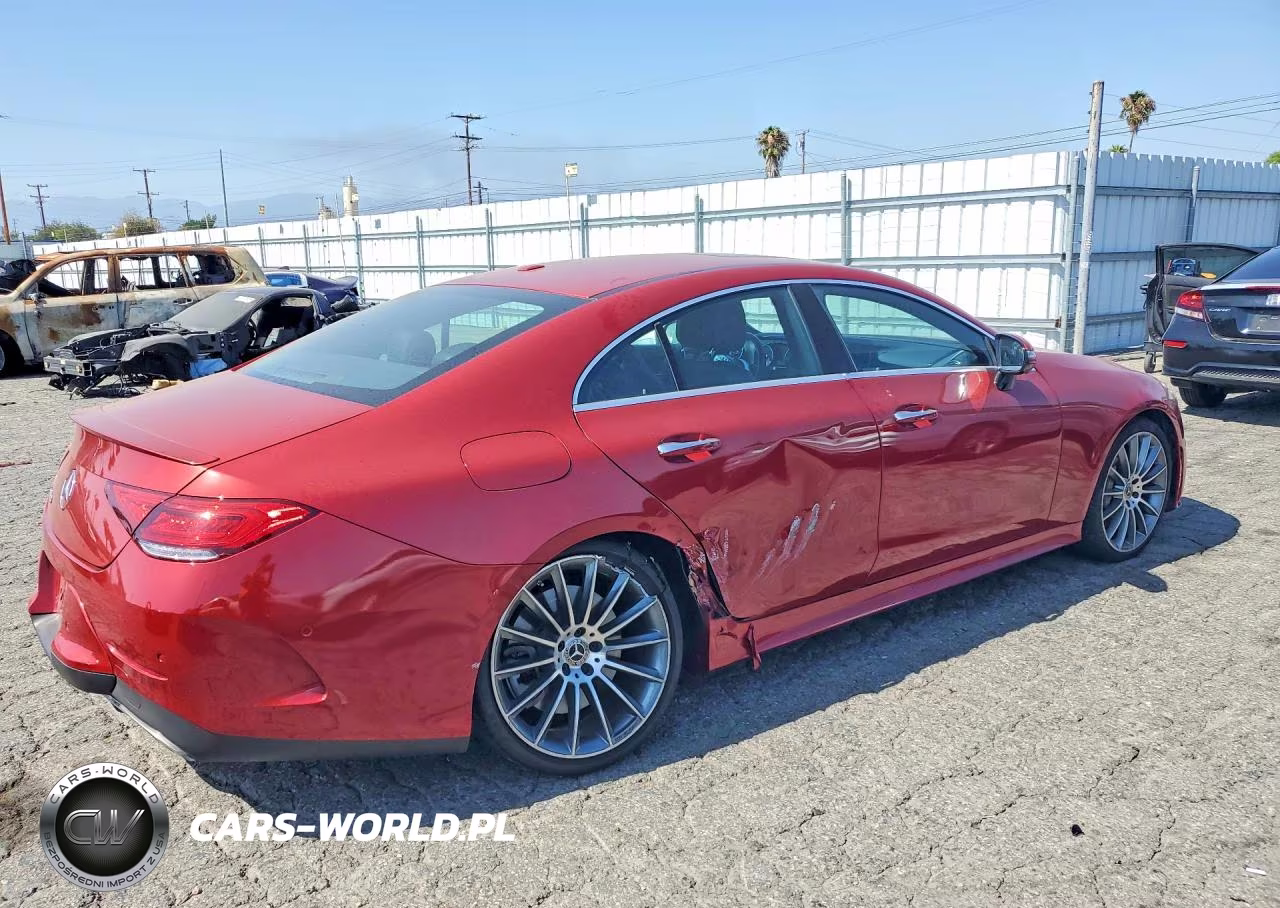 2019 Mercedes-Benz Cls 450 VIN:WDD2J5JBXKA010606 - 3