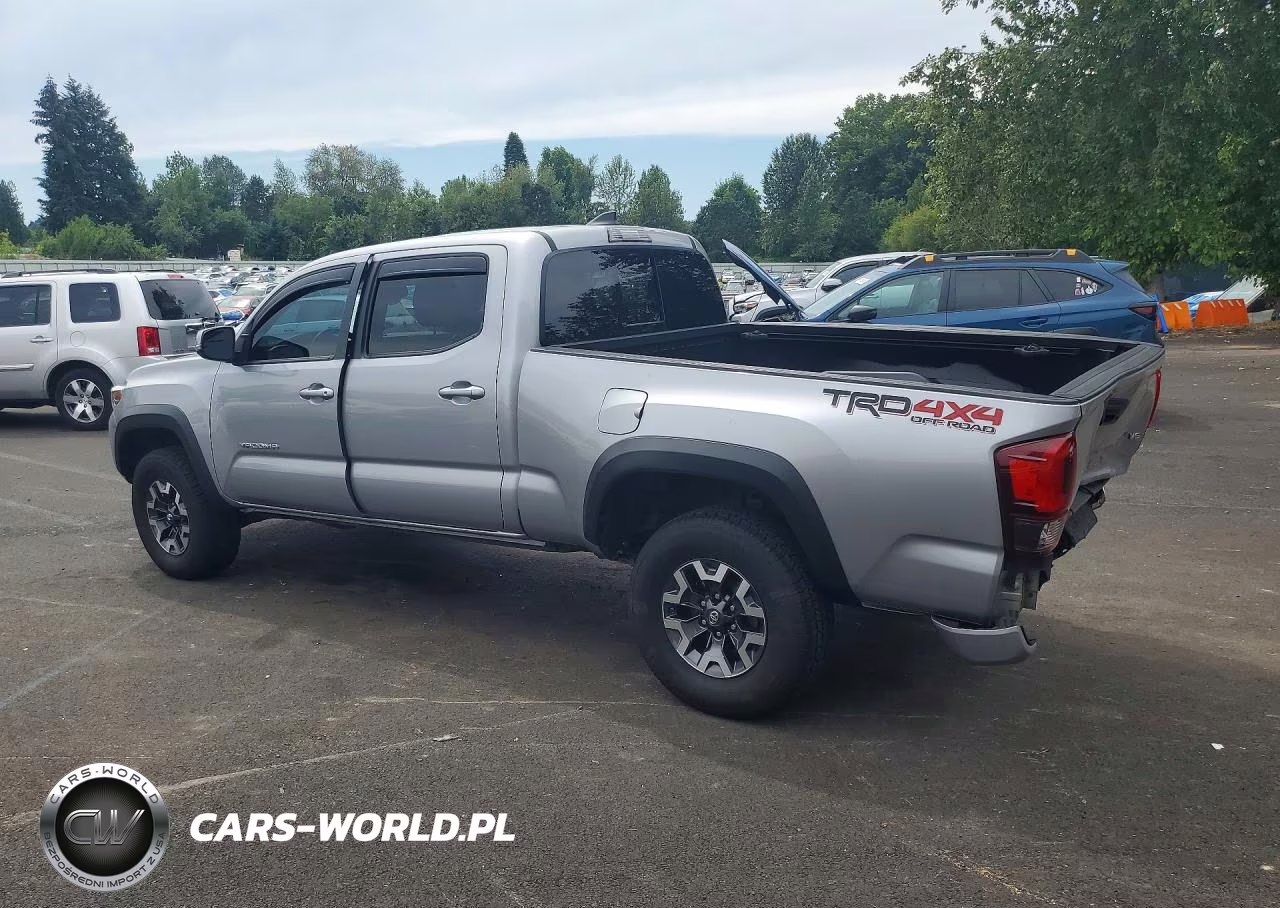 2019 Toyota Tacoma Trd Off-Road VIN:3TMDZ5BN9KM059593 - 2