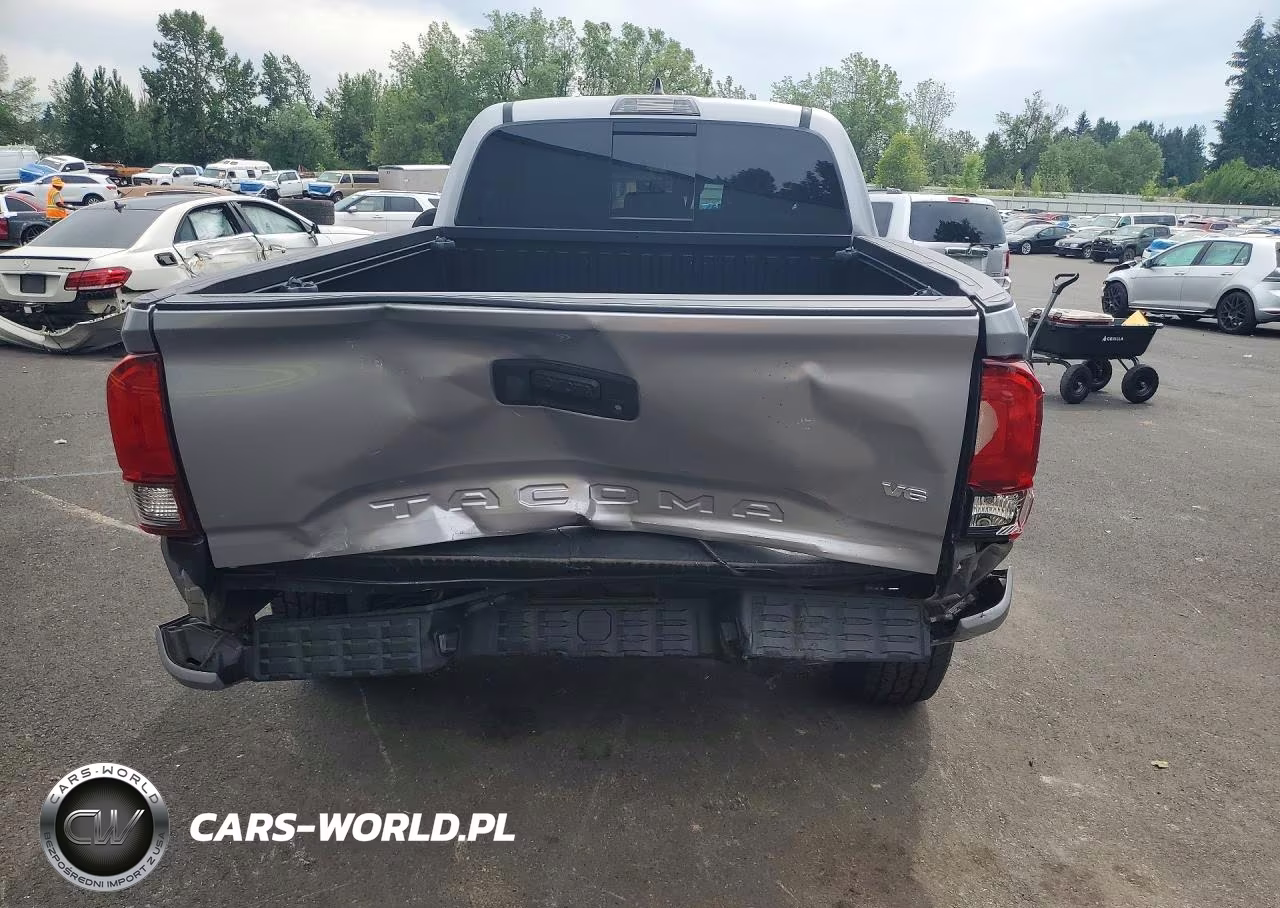 2019 Toyota Tacoma Trd Off-Road VIN:3TMDZ5BN9KM059593 - 6