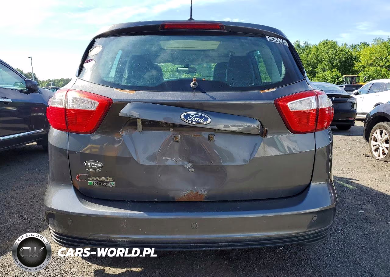 2016 Ford C-Max Premium Sel VIN:1FADP5CU8GL112570 - 6