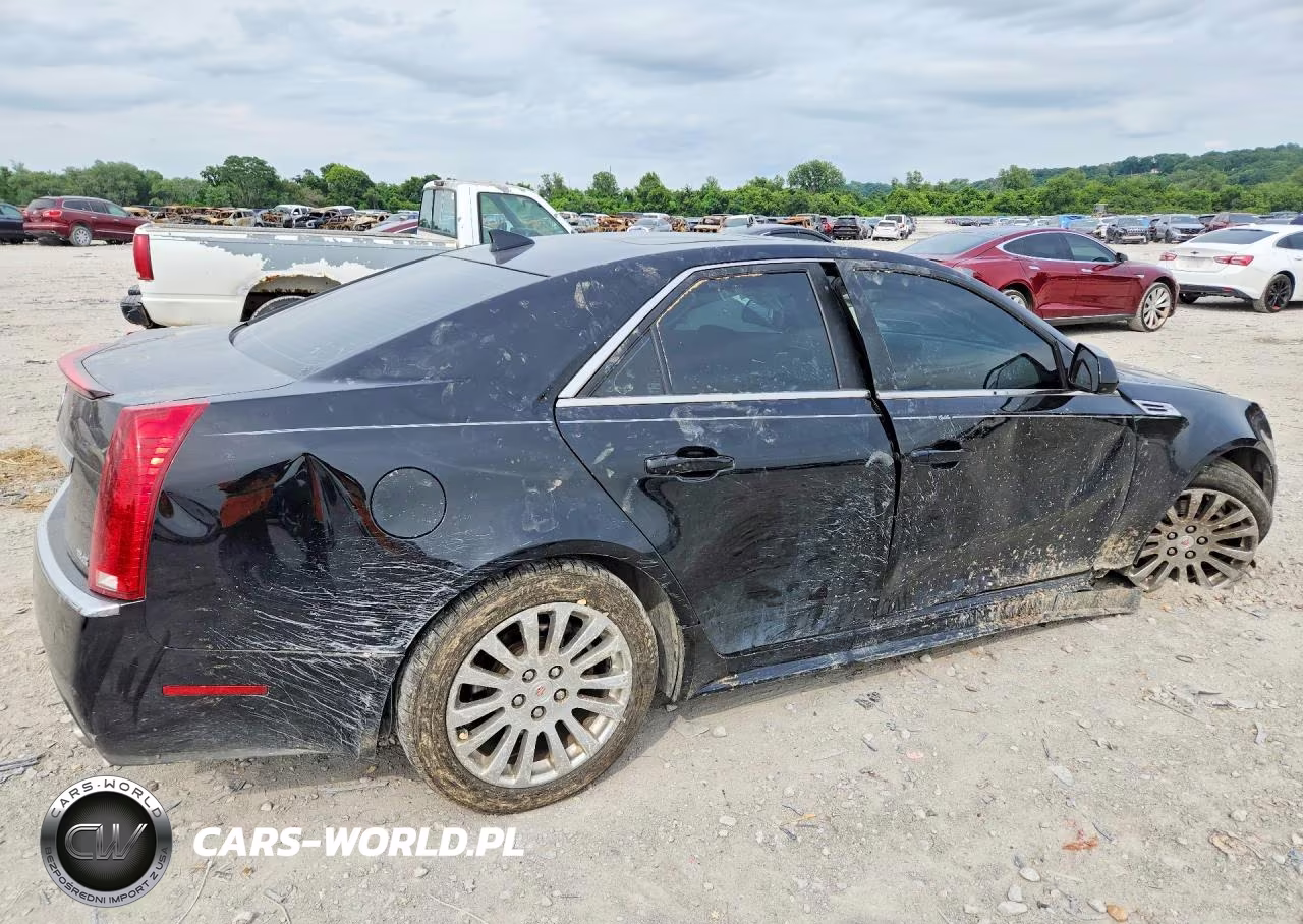 2010 Cadillac Cts Premium Collection VIN:1G6DS5EV7A0103272 - 3