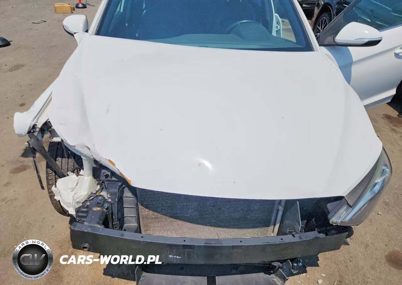 2017 Hyundai Elantra Sport VIN:KMHD04LB9HU345646 - 11