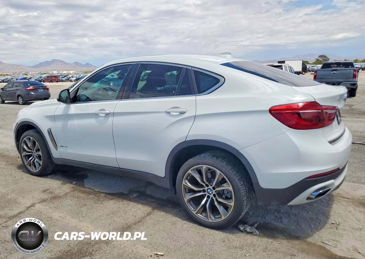 2019 BMW X6 Sdrive35I VIN:5UXKU0C53K0H98843 - 2