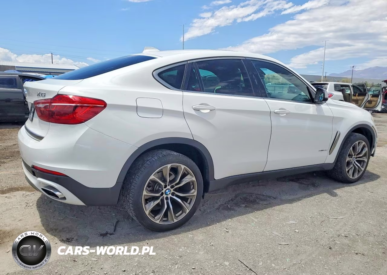 2019 BMW X6 Sdrive35I VIN:5UXKU0C53K0H98843 - 3