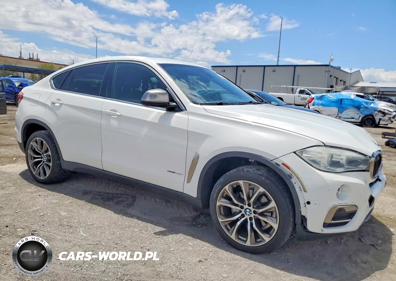 2019 BMW X6 Sdrive35I VIN:5UXKU0C53K0H98843 - 4