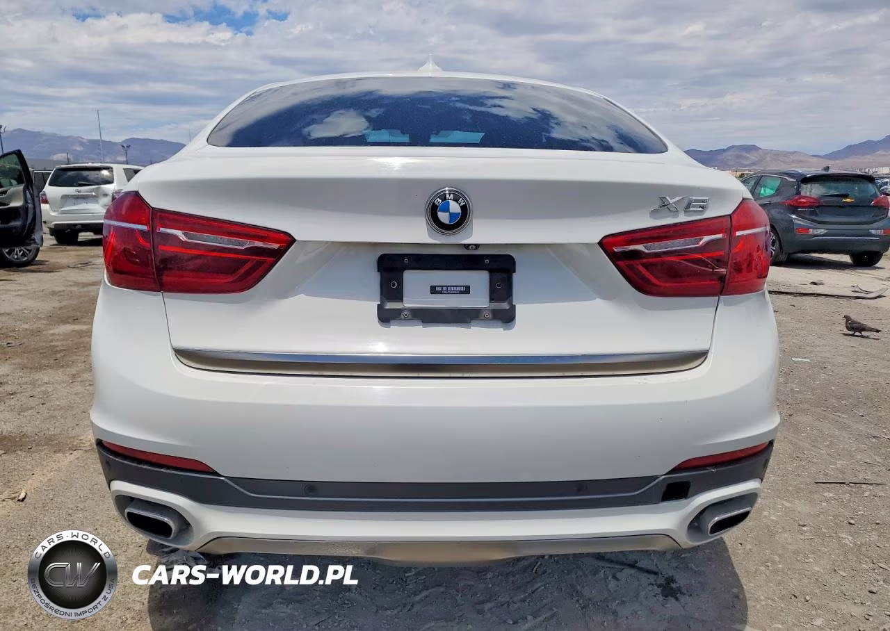 2019 BMW X6 Sdrive35I VIN:5UXKU0C53K0H98843 - 6