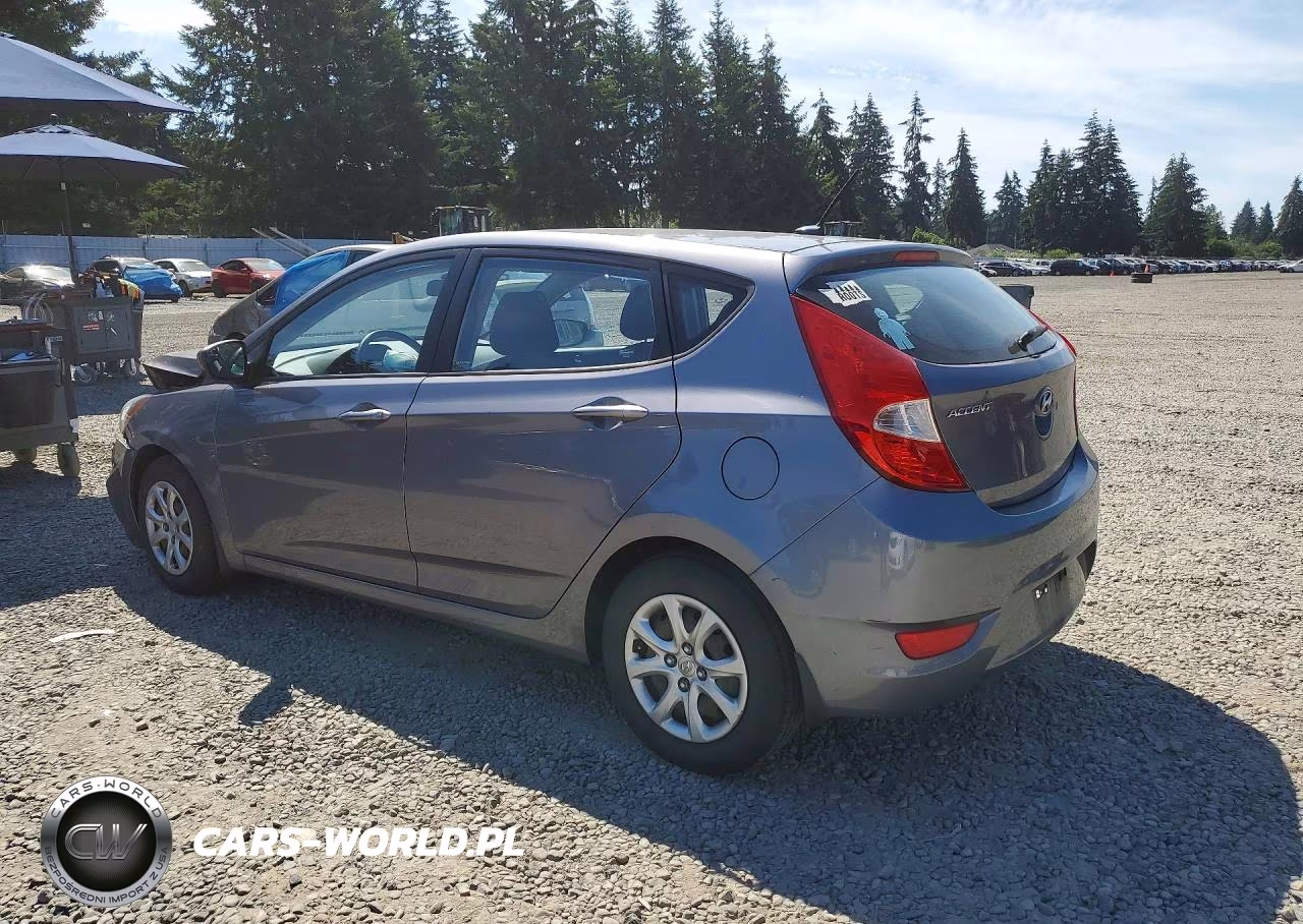 2014 Hyundai Accent Gs VIN:KMHCT5AE3EU168366 - 2